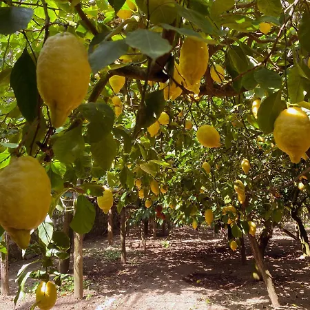 Mariahome Semesterbostad